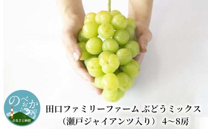 【田口ファミリーファーム】ぶどうミックス(瀬戸ジャイアンツ入り)4~8房(約3kg~4kg) N053-YZD0141