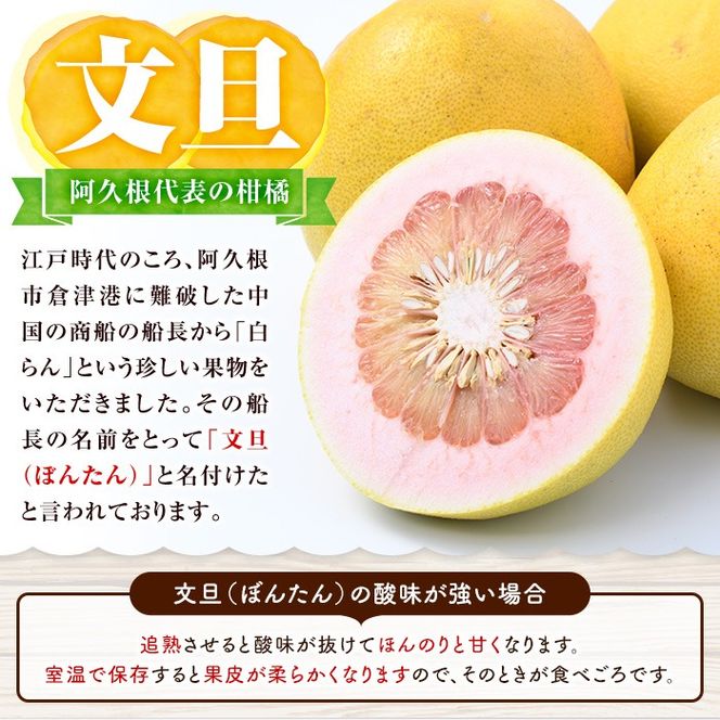 鹿児島県阿久根市産！特別選定 柑橘セット(ボンタン3個・不知火3kg) 国産 果物 フルーツ かんきつ ノーワックス【松永青果】akn053-26