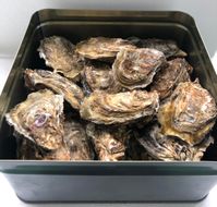 I-86お家で簡単BBQ　蒸し牡蠣