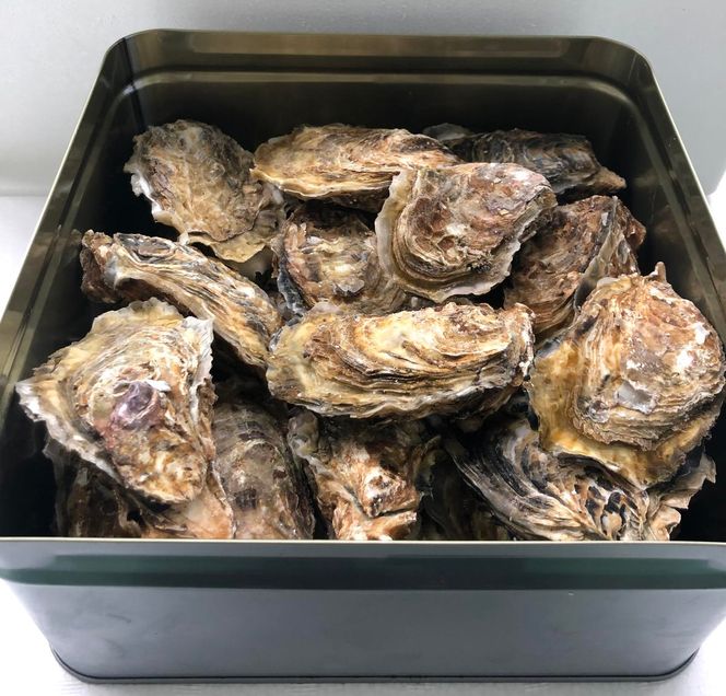 I-86お家で簡単BBQ　蒸し牡蠣