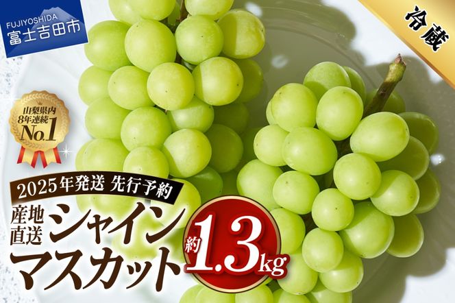 【2025年先行予約】高級 山梨県産 シャインマスカット 2房 （約1.3kg） 果物 旬 先行予約 フルーツ 高級 シャイン ぶどう 山梨 富士吉田 フルーツ 富士吉田市