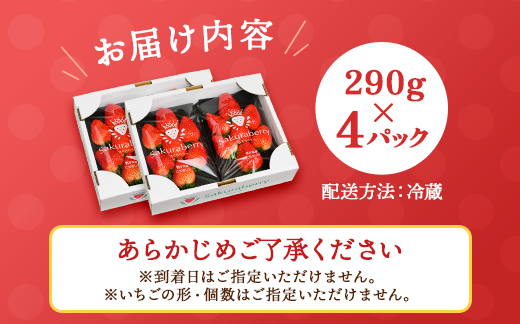 〈数量限定〉【先行予約】さくら市産イチゴ（とちあいか）290g×4パック｜いちご イチゴ 苺 先行予約 栃木県 果物 くだもの フルーツ とちあいか 新鮮 贈答 ギフト ※2025年12月下旬～2026年3月下旬頃に順次発送予定