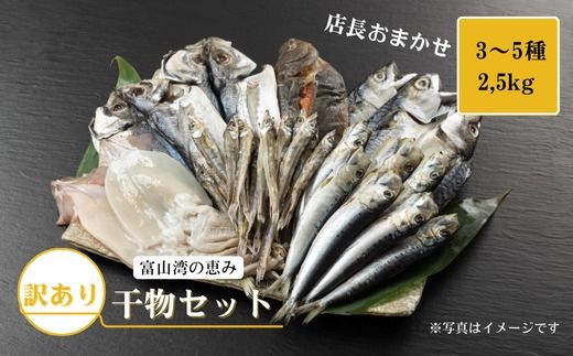おまかせ訳あり干物セット（3～5種） 約2.5kg 富山 魚津 浜浦水産 自家用 家庭用