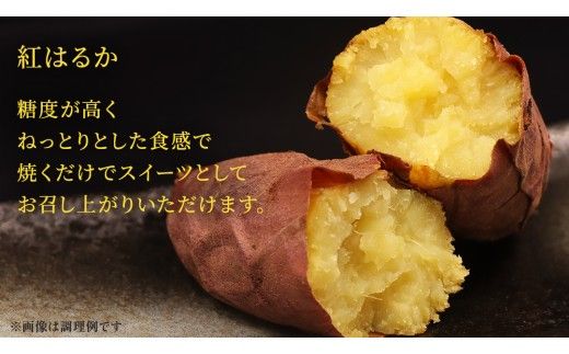 さつまいも 【 選べる品種 】 5kg / 10kg ( 箱込 ) サツマイモ さつま芋 芋 いも 野菜 焼き芋 スイーツ おやつ 国産 シルクスイート 紅はるか 紅あずま ふくむらさき ほしあかね