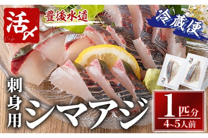 シマアジ 刺身用 ブロック 冷蔵(1匹分・4-5人前)シマアジ しまあじ 神経締め 獲れたて 鮮魚 ブロック 刺身 冷蔵 海の直売所 大分県 佐伯市【AS134】【海べ (株)】