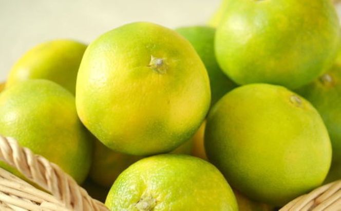 【秀品】有田産極早生みかん約5kg(2S～Lサイズ混合)★2026年10月中旬頃より順次発送 BZ139