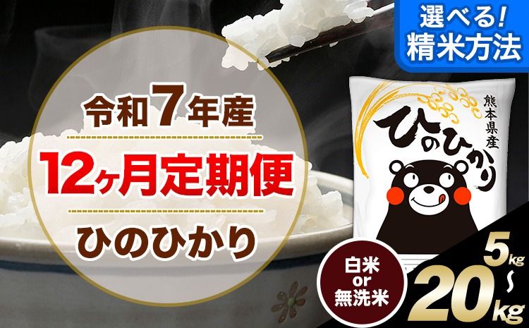 [12ヶ月定期便]選べる 精米方法 白米 無洗米 ひのひかり 5kg 10kg 20kg[お申込み翌月から出荷]|人気米 熊本県産米 お米 生活応援米---hn7tei_98000_5kg_mo12_mna_h---