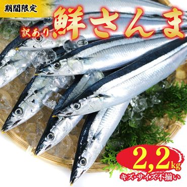 [期間限定]訳あり 鮮さんま 約2.2kg 冷蔵[dairiki005]