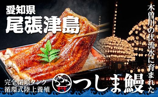 ymÓszyYEiMz܉V2(300g)