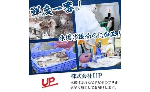 かぼすブリ フィーレ (1枚:約1kg) 期間限定 鰤 ブリ フィーレ 半身 魚 魚介類 養殖 大分県産 大分県 佐伯市【EW032】【Up】