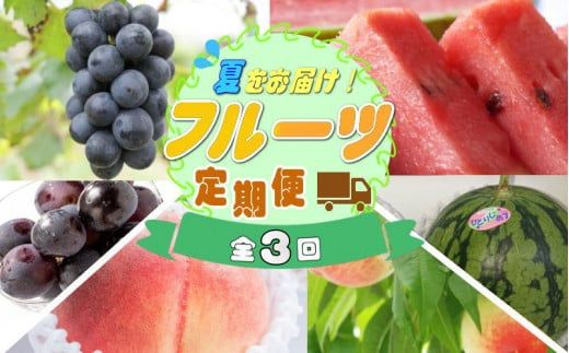 【定期便】夏をお届け！フルーツ定期便！小玉すいか・桃・ピオーネ（全3回）/ フルーツ 果物 すいか ひとりじめ7 もも モモ ぶどう ブドウ 旬 定期便 【tkb345】