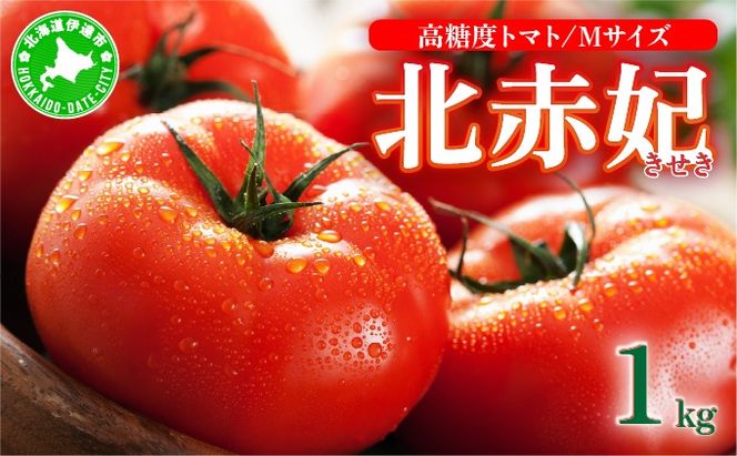 ykCɒBszy2026N  z s\ kC ɒBs x g}g kԔ  1kg  1 MTCY Ƃ܂ VN W[V[ Yn