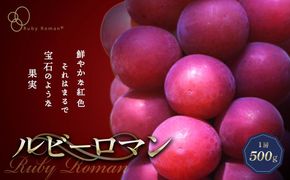 【先行予約】ルビーロマン 1房 500g（2026年8月中旬～9月上旬頃順次発送） ぶどう ブドウ 大粒 先行予約 予約 冷蔵配送 くだもの 果物 フルーツ ご当地 食品 F6P-2104