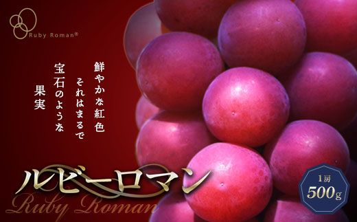 【先行予約】ルビーロマン 1房 500g（2026年8月中旬～9月上旬頃順次発送） ぶどう ブドウ 大粒 先行予約 予約 冷蔵配送 くだもの 果物 フルーツ ご当地 食品 F6P-2104