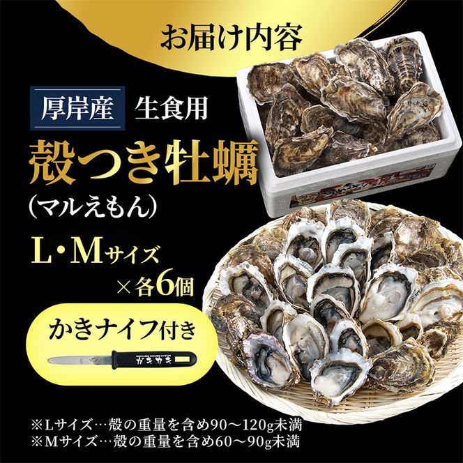 厚岸産 ブランド 殻付カキ マルえもん 生食用 サイズ食べ比べ 12個 (L・M各6個)[ 魚貝類 生牡蠣 かき 牡蠣 カキ 生ガキ 食べ比べ ]
