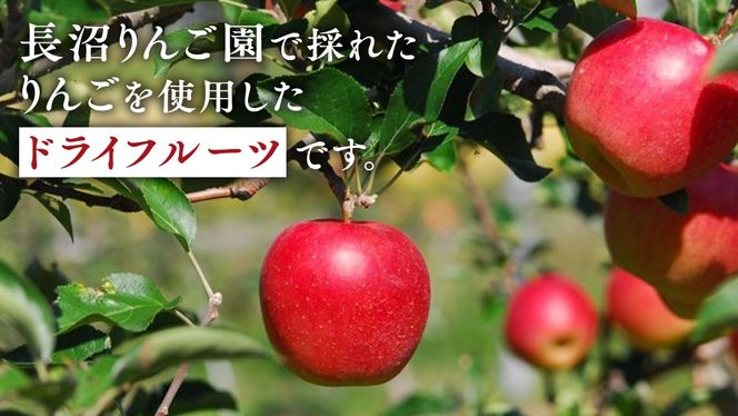 長沼りんご園 の どらいりんご 5袋 【 2024年9月より発送開始～ 】 砂糖不使用 オイル不使用 皮ごとカット ドライフルーツ 乾燥りんご 果物 りんご 国産 アップル リンゴ ドライアップル 自然派おやつ ヨーグルトに プチギフト [AT004us]