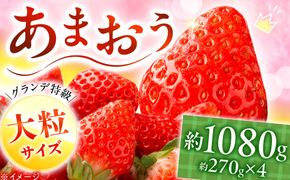 【2027年1月中旬より順次発送】あまおう いちご 1080g（約270g×4パック）《築上町》【株式会社HSP-テクノ】【配送不可地域：北海道・沖縄・離島】 いちご 苺 グランデ等級 果物 イチゴ[ABFG001]