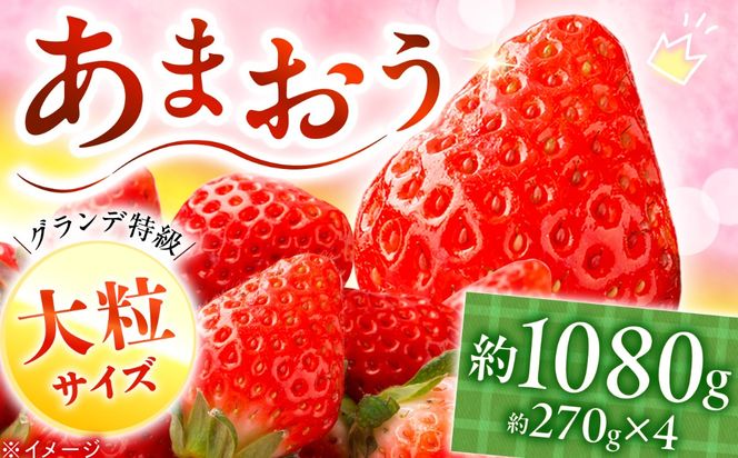 【2027年1月中旬より順次発送】あまおう いちご 1080g（約270g×4パック）《築上町》【株式会社HSP-テクノ】【配送不可地域：北海道・沖縄・離島】 いちご 苺 グランデ等級 果物 イチゴ[ABFG001]