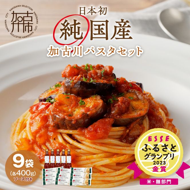 【14営業日以内に発送】加古川パスタセット《 加古川パスタ パスタ セット パスタセット もちもち食感 ナポリタン ナポリタンソース ソース付き 》【046007J010】