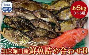 知床羅臼産 鮮魚詰め合わせB　約5kg 魚 さかな 旬の魚 鮮魚 羅臼町 北海道 生産者 支援 応援 016942_AE046