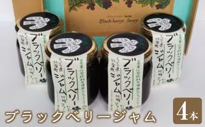 392.ブラックベリージャム4本セット 313726_AK001