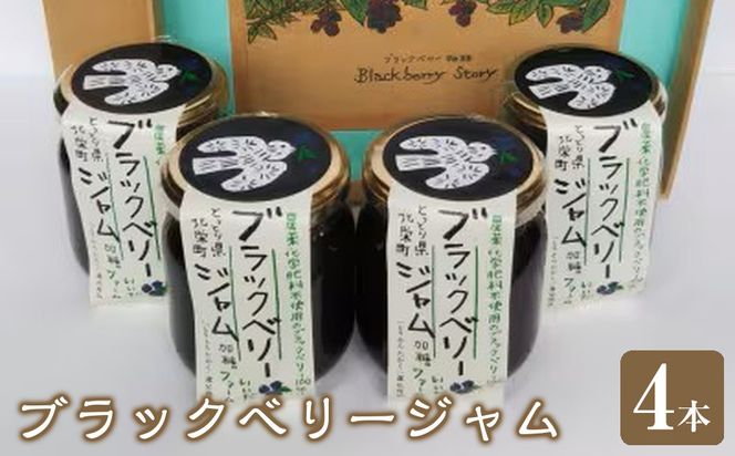 392.ブラックベリージャム4本セット 313726_AK001