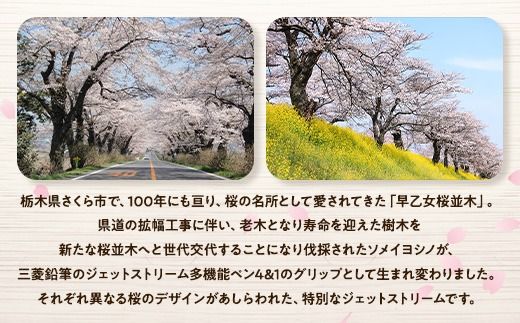 【数量限定】さくら市オリジナル「ジェットストリーム多機能ペン4＆1」1本 第2弾　全4色（ピンク・ライトピンク・ブラック・ティールブルー）｜三菱鉛筆　ジェットストリーム　桜　サクラ　ソメイヨシノ　桜並木　文房具　栃木県　合格祈願　雑誌で紹介されました