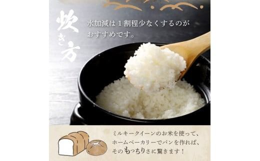 【令和8年産】富士吉田の美味しいお米 ミルキークイーン 【選べる種類・容量】 白米 無洗米 3kg 5kg 6kg 10kg 富士吉田産 新米 米低アミロース米 山梨 富士吉田