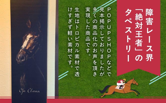 【オジュウチョウサン】マグカップ (アートデザイン) BRTV015