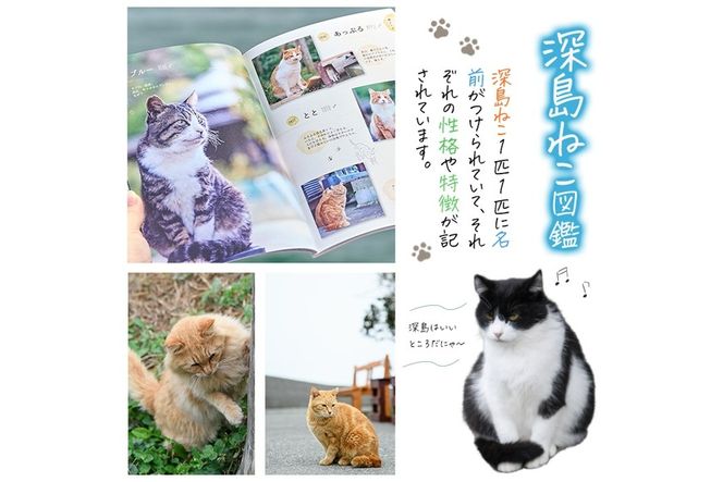 深島ねこ図鑑vol.2 (1冊) 猫 ねこ 写真集 本 雑誌 書籍 深島 猫の島 グッズ 大分県 佐伯市 【HD68】【さいき本舗 城下堂】