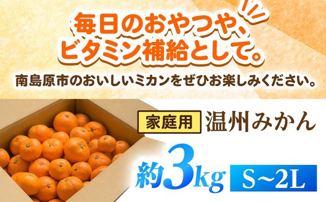 【11月末〜発送】温州みかん 3kg（S〜2L） / みかん ミカン 蜜柑 フルーツ 果物 旬 先行予約 柑橘 産地直送 家庭用 国産 / 南島原市 / 株式会社マルハチ[SFG003]