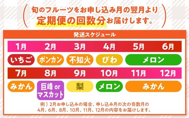 【年6回 偶数月コース】果物屋が選ぶ旬のフルーツ定期便 ハウスびわ メロン ぶどう (巨峰) みかん など / 南島原市 / 贅沢宝庫 [SDZ022]