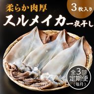 【毎月_定期便 全3回】日本海産柔らか肉厚のスルメイカ一夜干し(大)3枚 全3回　 魚貝類 イカ いか スルメイカ お酒 つまみ 特大 新鮮 保存 冷凍 国産 酒の肴 酒のつまみ myz02 myz10 myz11 myz17