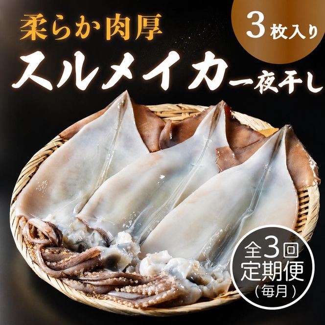 【毎月_定期便 全3回】日本海産柔らか肉厚のスルメイカ一夜干し(大)3枚 全3回　 魚貝類 イカ いか スルメイカ お酒 つまみ 特大 新鮮 保存 冷凍 国産 酒の肴 酒のつまみ myz02 myz10 myz11 myz17
