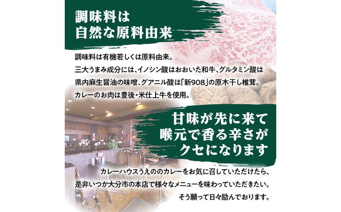 【K03041】九州クラフト うえの焙煎ビーフカレー 冷蔵 5袋