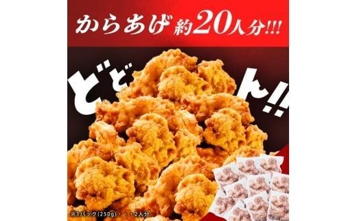 小分けで便利！鹿児島県産若鶏もも肉切身 計2.5kg(250g×10P) a2-124