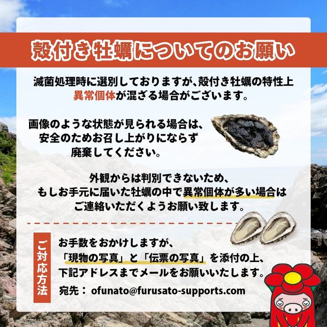 殻付き牡蠣 10個 カンカン焼きセット 加熱用 殻付き牡蠣 缶 ムキヘラ 軍手 加工食品 冷凍 鍋 かき 牡蠣 カキ  オイスター oyster アヒージョ バーベキュー BBQ フライ 揚げ物 ごはん 夕飯 おかず おつまみ 晩酌 米 丼 海産物 海鮮 魚介 魚介類 贈答品 お中元 大船渡 三陸 岩手県 国産［56500165_2］