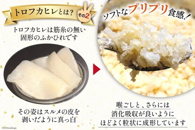 【粒々ふかひれの広東風トロかけごはん】200g×6袋 [鼎陽 宮城県 気仙沼市 20564718] 鱶鰭 ふかひれ フカヒレ 豪華 高級 贅沢 中華 中華料理 モウカザメ コラーゲン 広東 広東風 つぶつぶ 冷凍