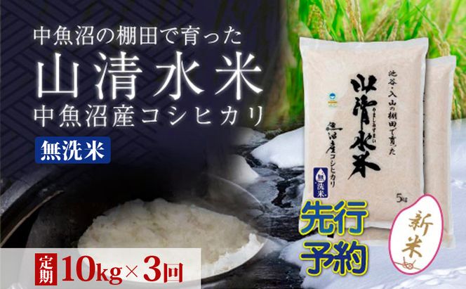 【令和8年産 先行予約】【定期便／全3回】無洗米10kg 新潟県魚沼産コシヒカリ「山清水米」