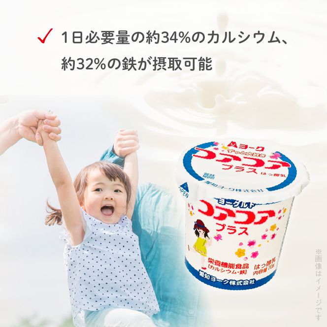 愛知ヨーク　コアコアプラスヨーグルト　20個入　（栄養機能性食品）［108A08］ヨーグルト コアコアプラスヨーグルト 20個入 愛知ヨーク カルシウム 鉄分 カップヨーグルト 朝食 スイーツ おやつ