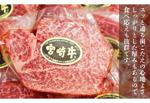 宮崎牛ヒレステーキ800g（A４等級以上） N061-YG0194