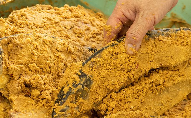 橋立やまいちサバへしこ 大2本セット 鯖 魚 魚介類 干物 さば さばのへしこ 米ぬか 郷土料理 伝統 ぬか漬け 糠漬け ヌカ漬け 魚貝類 加工食品 