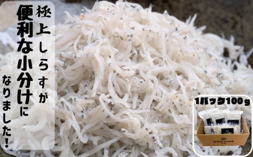 冷凍釜揚げしらす500g （100g×5パック） / シラス 厳選 小分け 冷凍便 お米のおとも【dig001B】