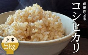 令和7年産 環境保全米 コシヒカリ玄米5kg ※2025年10月上旬～2026年3月下旬頃に順次発送予定 ※北海道・沖縄・離島への配送不可