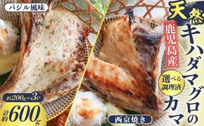 鹿児島産　天然　キハダマグロのカマ約200ｇ×3　調理済　バジル風味or西京焼き　K100-012