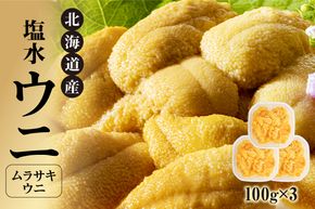 【先行受付】北海道産　世壱屋塩水ウニ（ムラサキウニ）300g_Y038-0144