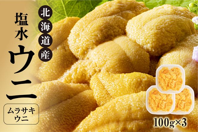 ykC]szystzkCY@뉮EjiTLEjj300g_Y038-0144