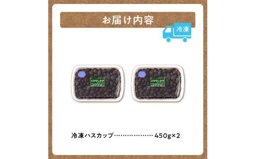 【2026年発送先行予約！】とかちしみずフルーツガーデンのハスカップ900g_S009-0016