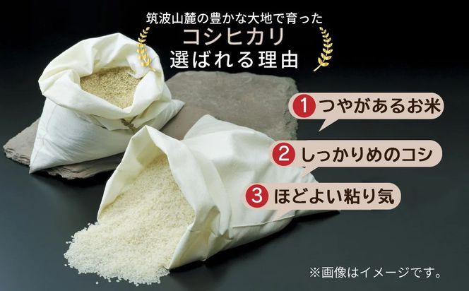 茨城県産無洗米コシヒカリ 茨城県産無洗米あきたこまち 各5kg（合計10kg）精米 白米 ※離島への配送不可 ※2025年9月下旬～2026年7月下旬頃に順次発送予定