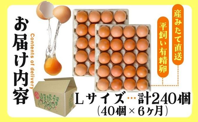 北海道産 6ヵ月連続お届け   たまごの心 40個 Lサイズ   太陽の園  の平飼たまご  有精卵 北海道 伊達市 たまご 卵 生たまご 鶏卵  鶏の卵 ポリスブラウン 食材 卵かけごはん TKG オムレツ オムライス 【農福連携】